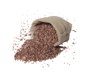 চাল